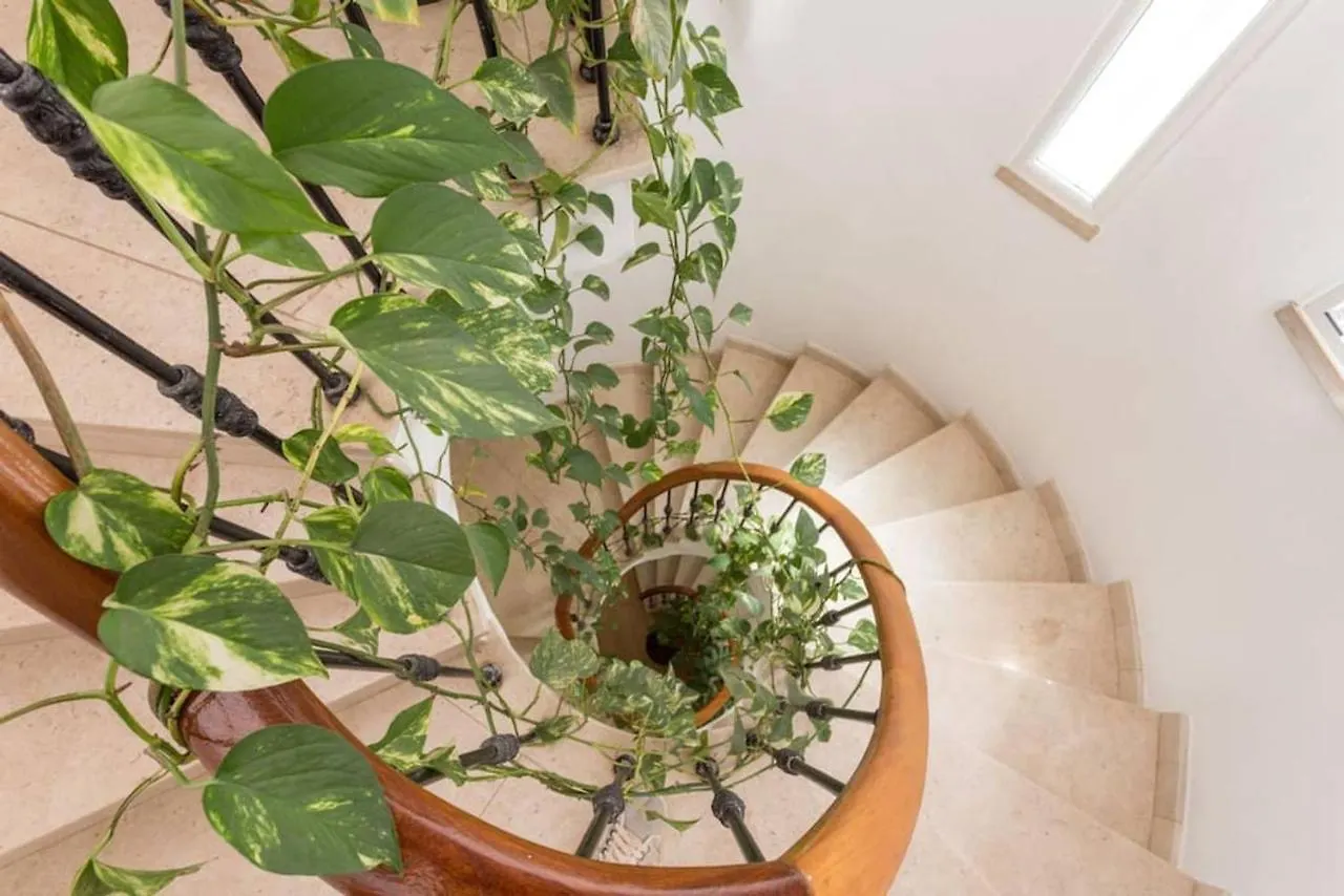 Semesterbostad Lovely Family House Faro
